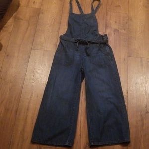Gap overalls
